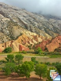 Cub creek area